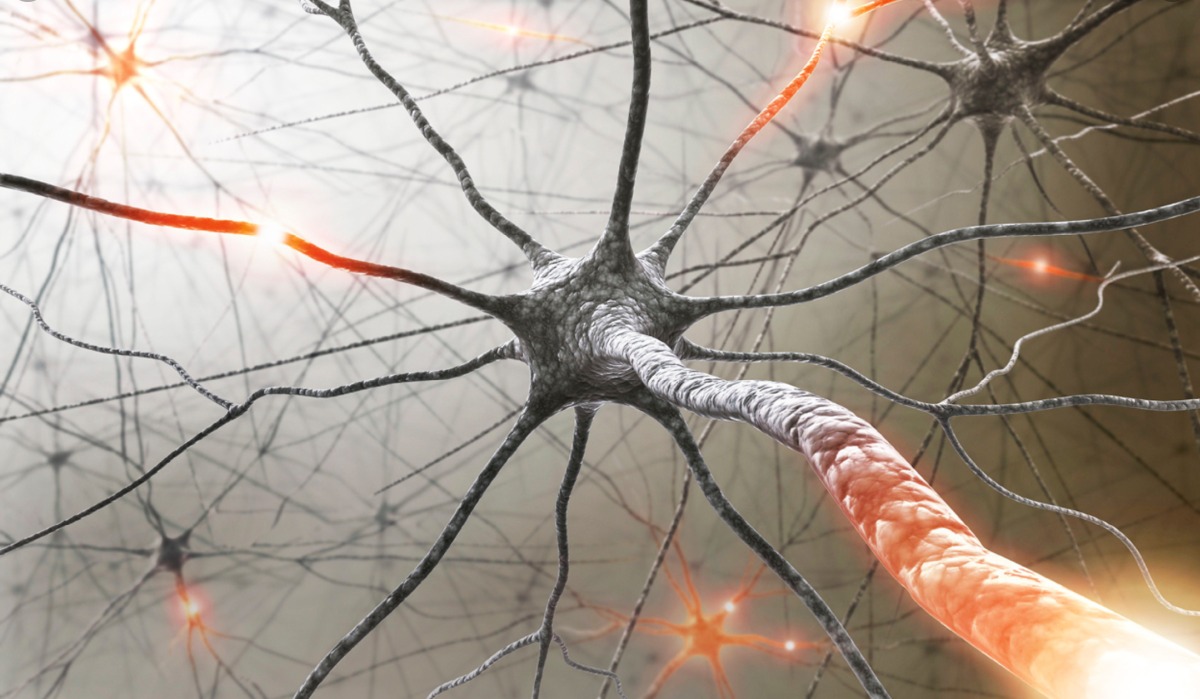 A kognitív és motoros tevékenység közti interferencia vizsgálata enyhe vagy közepesen súlyos sclerosis multiplexes betegeknél egészsége kontrollokhoz viszonyítva